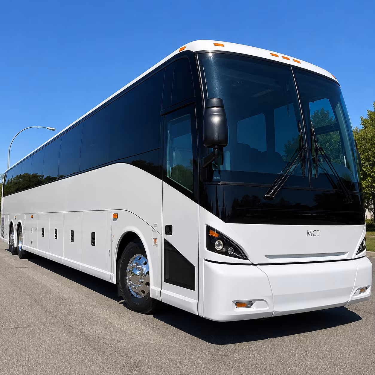 bellingham field trip transportation